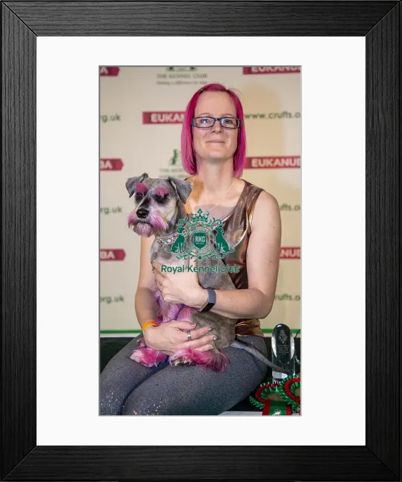 Framed Print : Crufts 2019 - Day One, NEC, UK - 7 Mar 2019 Framed Print : Crufts 2019 - Day One, NEC, UK - 7 Mar 2019