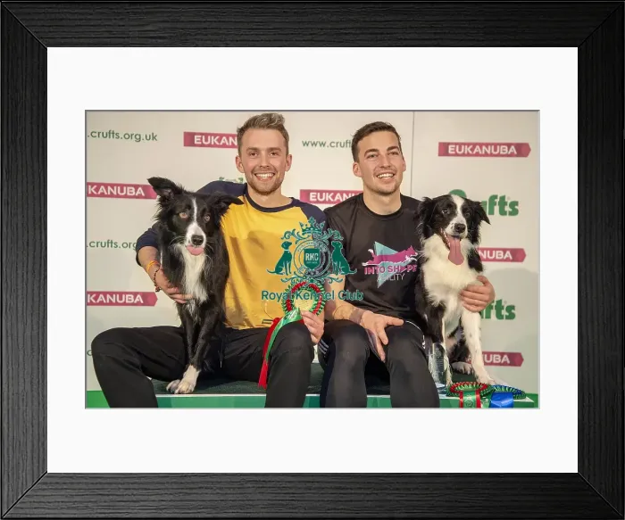 Framed Print : Crufts 2019 - Day One, NEC, UK - 7 Mar 2019 Framed Print : Crufts 2019 - Day One, NEC, UK - 7 Mar 2019