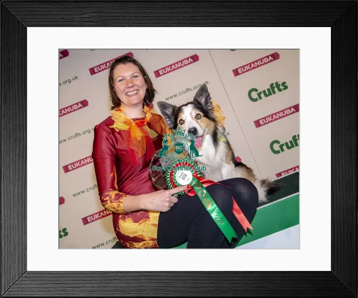 Framed Print : Crufts 2019 - Day One, NEC, UK - 7 Mar 2019 Framed Print : Crufts 2019 - Day One, NEC, UK - 7 Mar 2019