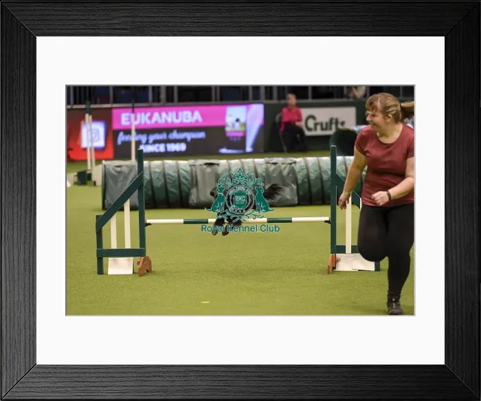 Framed Print : Crufts 2019 - Day Two, NEC, UK - 8 Mar 2019 Framed Print : Crufts 2019 - Day Two, NEC, UK - 8 Mar 2019