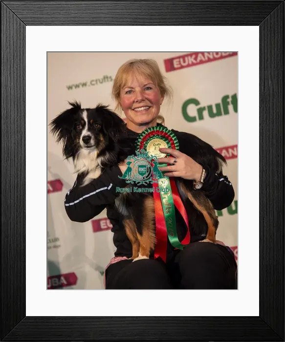 Framed Print : Crufts 2019 - Day One, NEC, UK - 7 Mar 2019 Framed Print : Crufts 2019 - Day One, NEC, UK - 7 Mar 2019