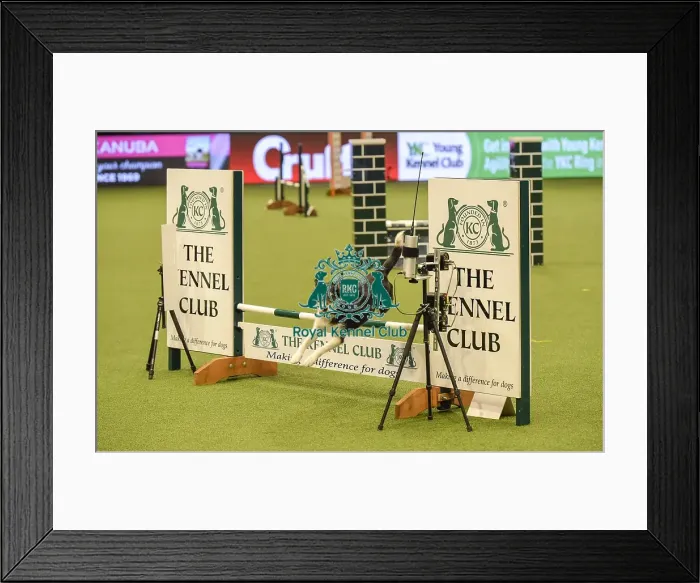 Framed Print : Crufts 2019 - Day Two, NEC, UK - 8 Mar 2019 Framed Print : Crufts 2019 - Day Two, NEC, UK - 8 Mar 2019