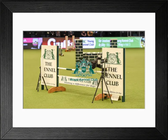 Framed Print : Crufts 2019 - Day Two, NEC, UK - 8 Mar 2019 Framed Print : Crufts 2019 - Day Two, NEC, UK - 8 Mar 2019