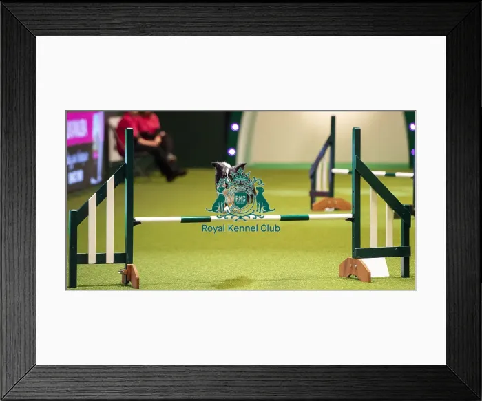 Framed Print : Crufts 2019 - Day One, NEC, UK - 7 Mar 2019 Framed Print : Crufts 2019 - Day One, NEC, UK - 7 Mar 2019