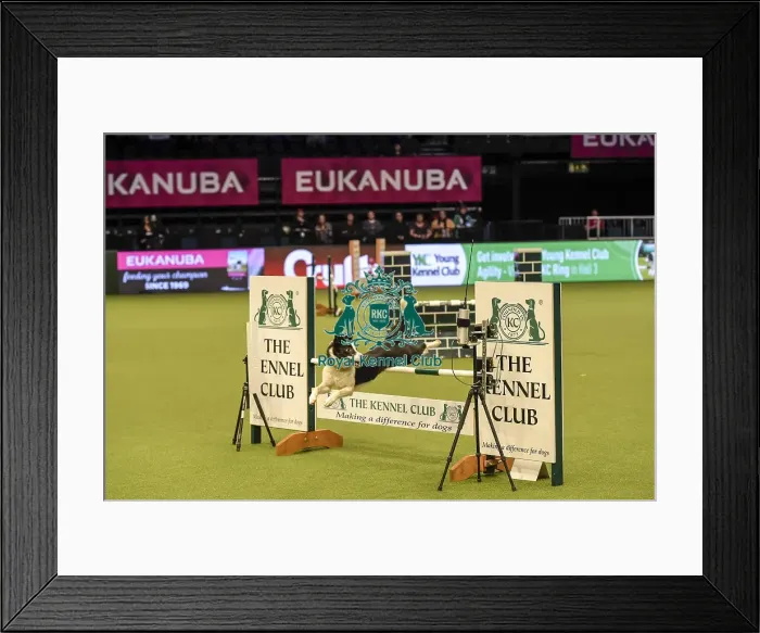 Framed Print : Crufts 2019 - Day Two, NEC, UK - 8 Mar 2019
