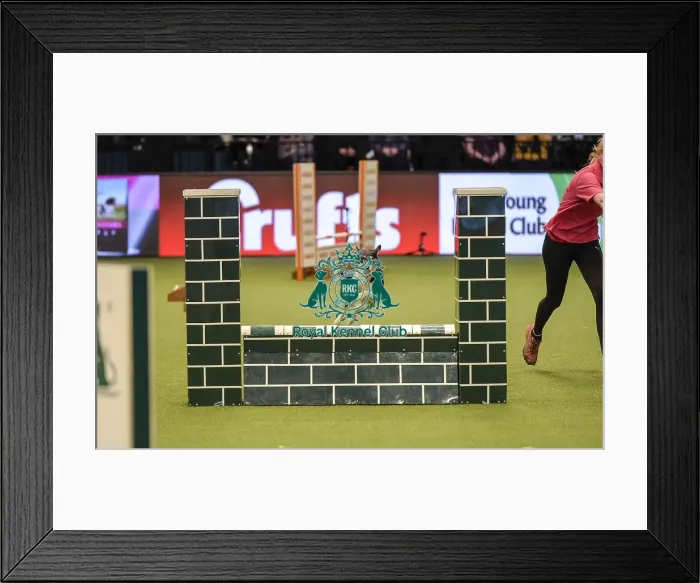 Framed Print : Crufts 2019 - Day Two, NEC, UK - 8 Mar 2019