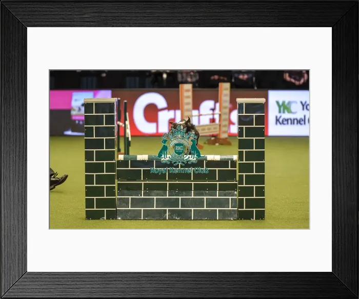 Framed Print : Crufts 2019 - Day Two, NEC, UK - 8 Mar 2019