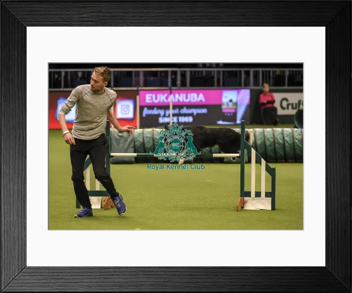 Framed Print : Crufts 2019 - Day Two, NEC, UK - 8 Mar 2019 Framed Print : Crufts 2019 - Day Two, NEC, UK - 8 Mar 2019