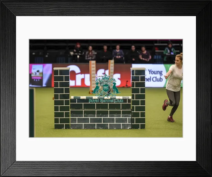 Framed Print : Crufts 2019 - Day Two, NEC, UK - 8 Mar 2019
