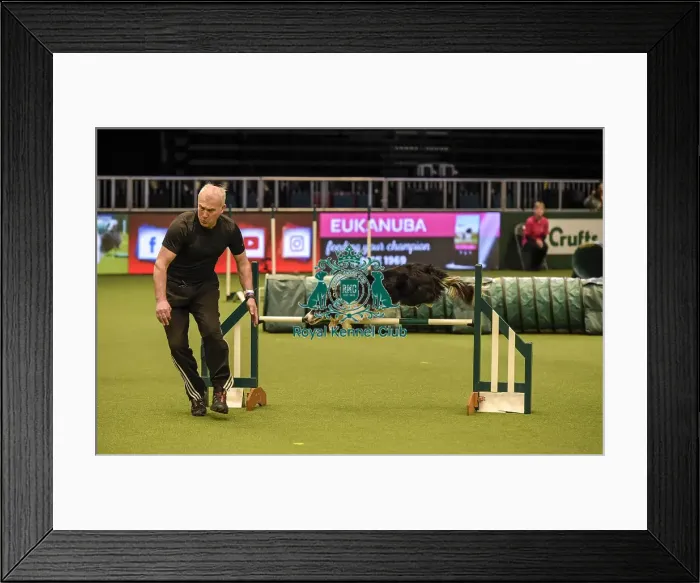 Framed Print : Crufts 2019 - Day Two, NEC, UK - 8 Mar 2019 Framed Print : Crufts 2019 - Day Two, NEC, UK - 8 Mar 2019