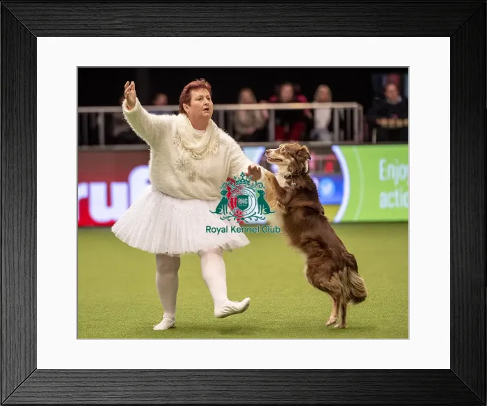 Framed Print : Crufts 2019 - Day One, NEC, UK - 7 Mar 2019 Framed Print : Crufts 2019 - Day One, NEC, UK - 7 Mar 2019