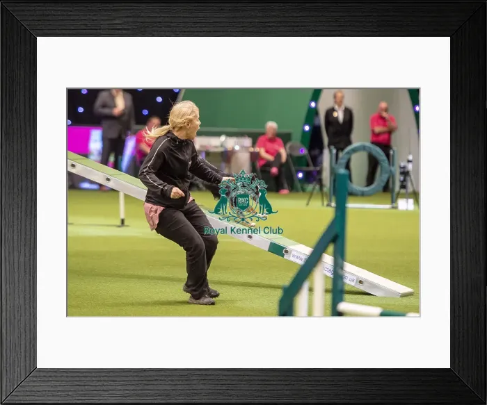 Framed Print : Crufts 2019 - Day One, NEC, UK - 7 Mar 2019 Framed Print : Crufts 2019 - Day One, NEC, UK - 7 Mar 2019