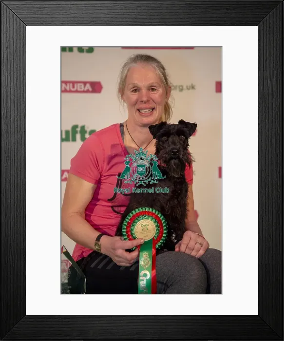 Framed Print : Crufts 2019 - Day One, NEC, UK - 7 Mar 2019 Framed Print : Crufts 2019 - Day One, NEC, UK - 7 Mar 2019