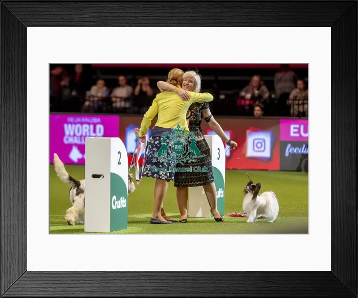 Framed Print : Crufts 2019 - Day One, NEC, UK - 7 Mar 2019 Framed Print : Crufts 2019 - Day One, NEC, UK - 7 Mar 2019