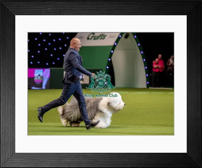 Framed Print : Crufts 2019 - Day One, NEC, UK - 7 Mar 2019 Framed Print : Crufts 2019 - Day One, NEC, UK - 7 Mar 2019