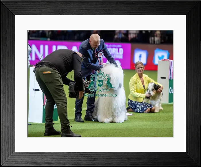 Framed Print : Crufts 2019 - Day One, NEC, UK - 7 Mar 2019 Framed Print : Crufts 2019 - Day One, NEC, UK - 7 Mar 2019