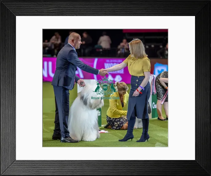 Framed Print : Crufts 2019 - Day One, NEC, UK - 7 Mar 2019 Framed Print : Crufts 2019 - Day One, NEC, UK - 7 Mar 2019
