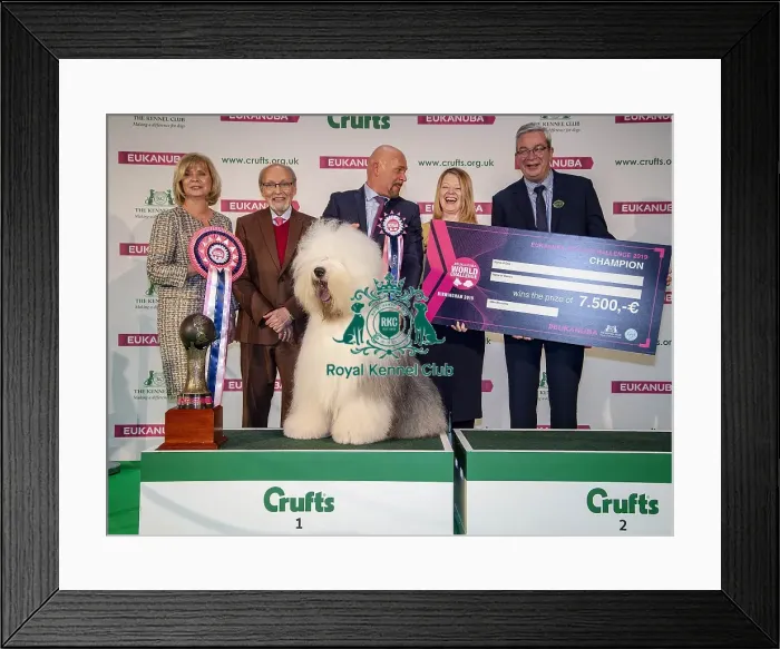 Framed Print : Crufts 2019 - Day One, NEC, UK - 7 Mar 2019 Framed Print : Crufts 2019 - Day One, NEC, UK - 7 Mar 2019