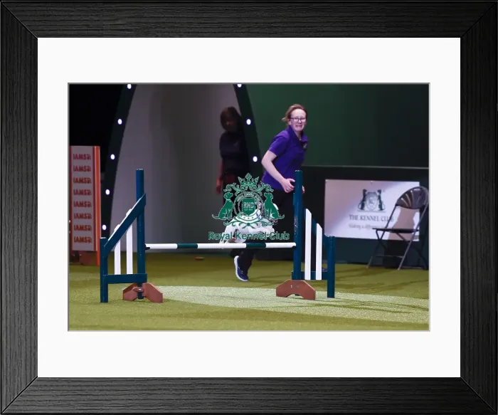 Framed Print : Crufts 2019 - Day One, NEC, UK - 7 Mar 2019 Framed Print : Crufts 2019 - Day One, NEC, UK - 7 Mar 2019