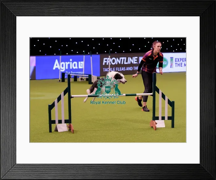 Framed Print : Crufts 2019 - Day One, NEC, UK - 7 Mar 2019 Framed Print : Crufts 2019 - Day One, NEC, UK - 7 Mar 2019