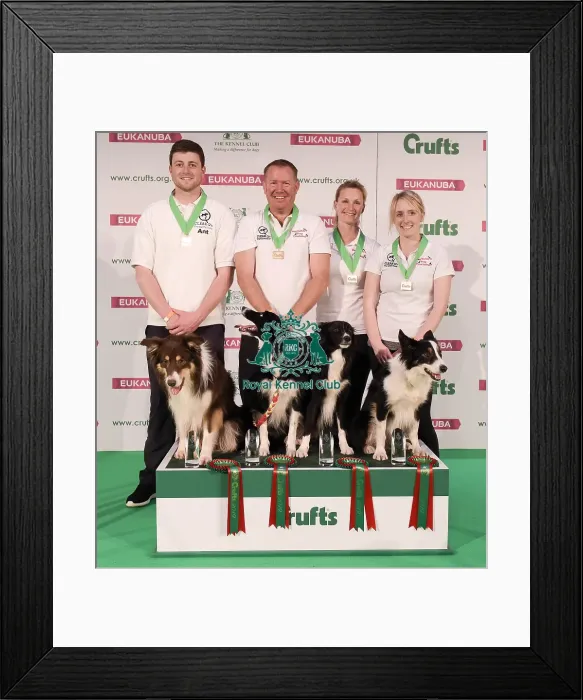 Framed Print : Crufts 2019 - Day One, NEC, UK - 7 Mar 2019 Framed Print : Crufts 2019 - Day One, NEC, UK - 7 Mar 2019