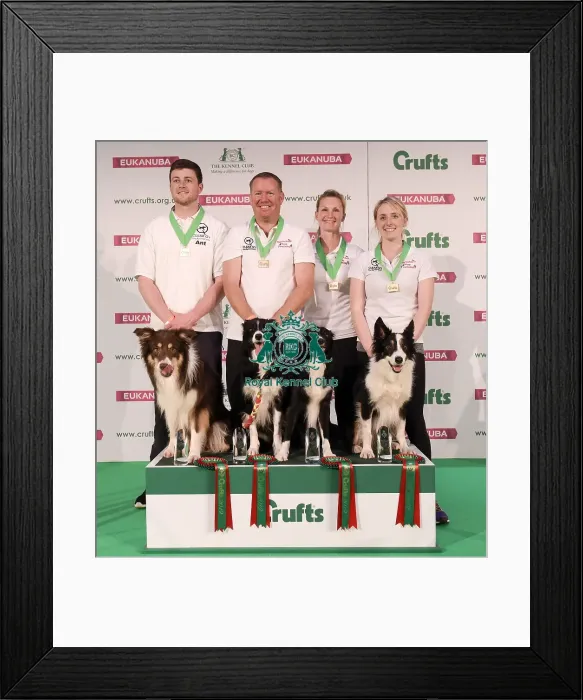Framed Print : Crufts 2019 - Day One, NEC, UK - 7 Mar 2019 Framed Print : Crufts 2019 - Day One, NEC, UK - 7 Mar 2019