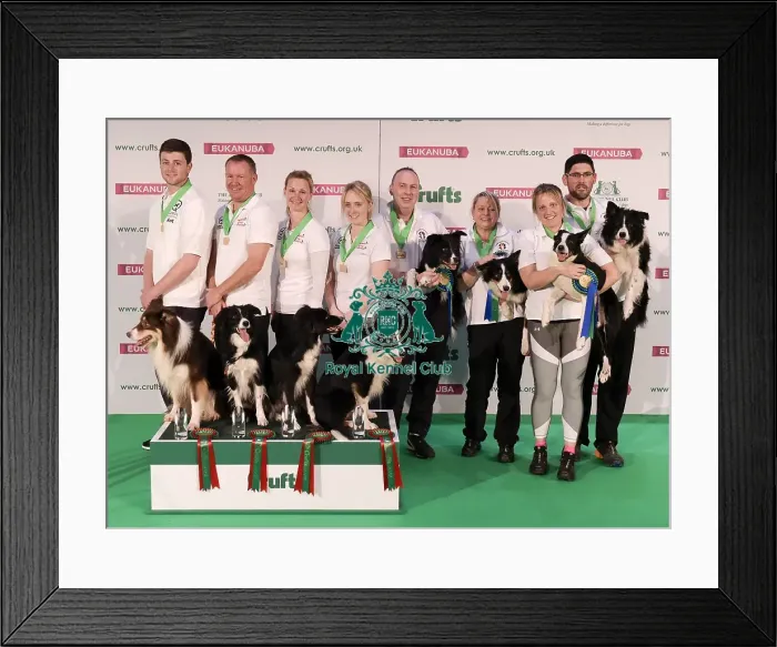Framed Print : Crufts 2019 - Day One, NEC, UK - 7 Mar 2019 Framed Print : Crufts 2019 - Day One, NEC, UK - 7 Mar 2019