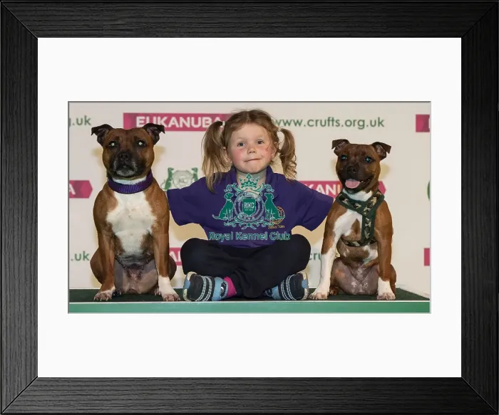 Framed Print : Crufts 2019 - Day One, NEC, UK - 7 Mar 2019 Framed Print : Crufts 2019 - Day One, NEC, UK - 7 Mar 2019