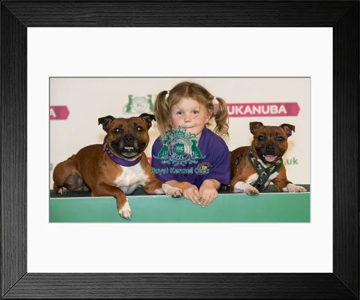 Framed Print : Crufts 2019 - Day One, NEC, UK - 7 Mar 2019 Framed Print : Crufts 2019 - Day One, NEC, UK - 7 Mar 2019