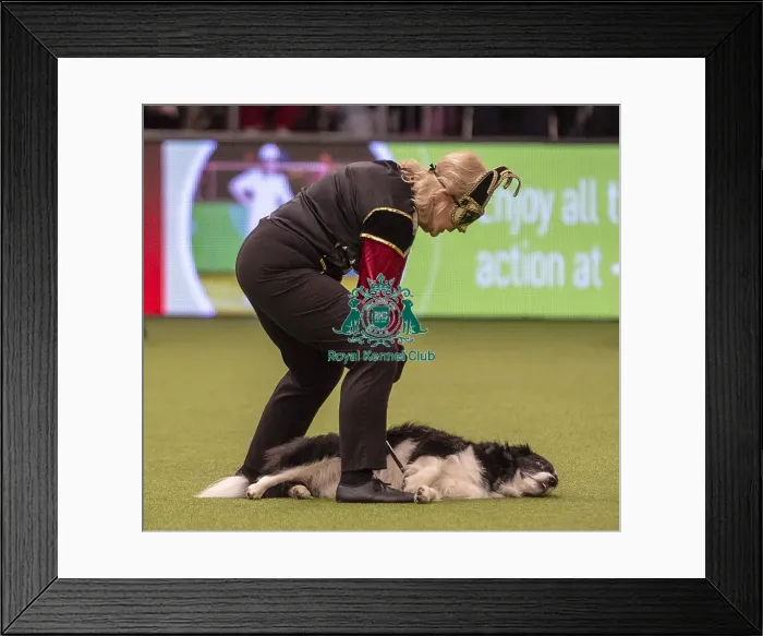 Framed Print : Crufts 2019 - Day One, NEC, UK - 7 Mar 2019