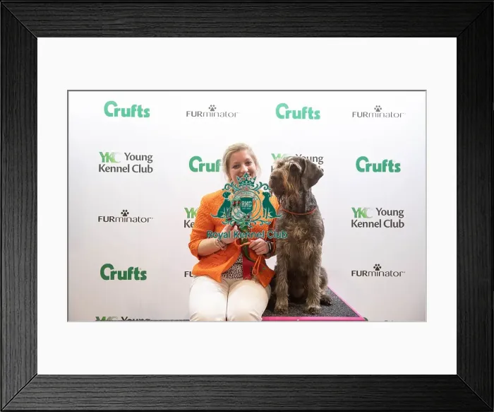 Framed Print : Furminator Sponsorship Framed Print : Furminator Sponsorship