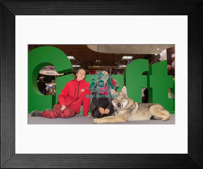 Framed Print : Vulric - Czechoslovakian Wolf Dog with Rachel Bailey and Lora Mi