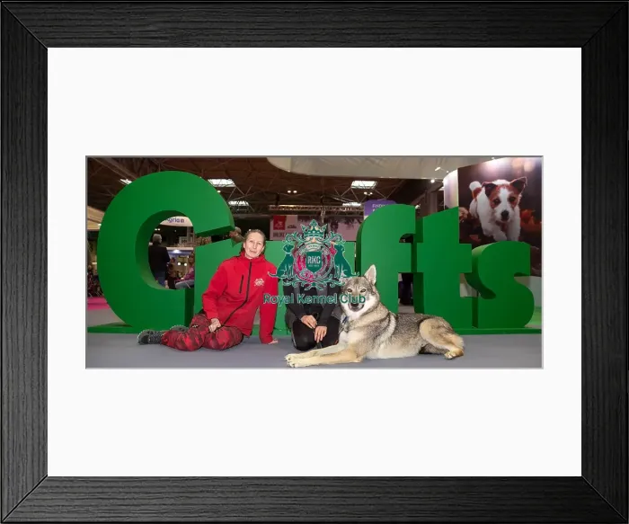 Framed Print : Vulric - Czechoslovakian Wolf Dog with Rachel Bailey and Lora Mi