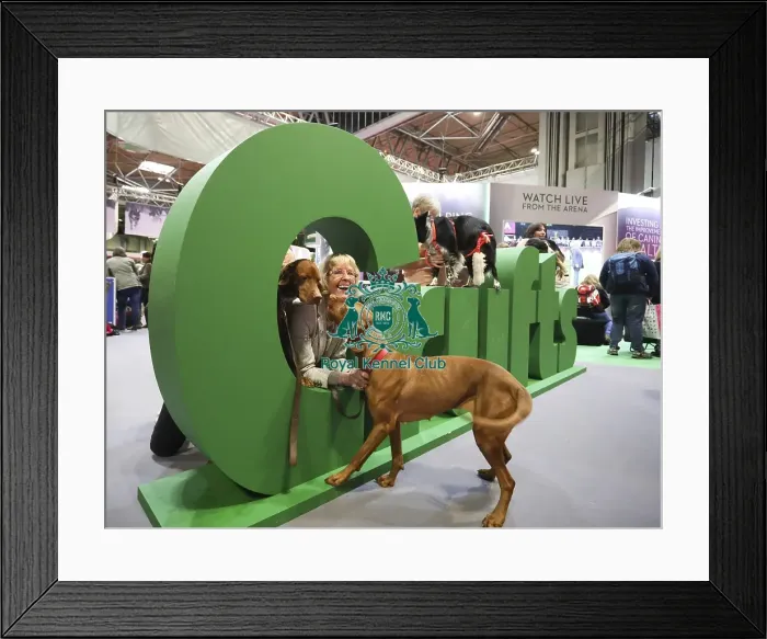 Framed Print : Crufts 2019 - Day One, NEC, UK - 7 Mar 2019 Framed Print : Crufts 2019 - Day One, NEC, UK - 7 Mar 2019