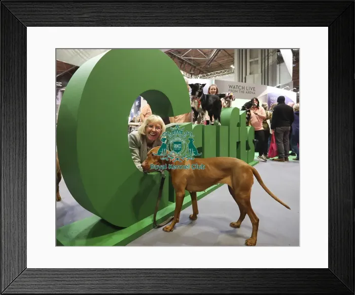 Framed Print : Crufts 2019 - Day One, NEC, UK - 7 Mar 2019 Framed Print : Crufts 2019 - Day One, NEC, UK - 7 Mar 2019