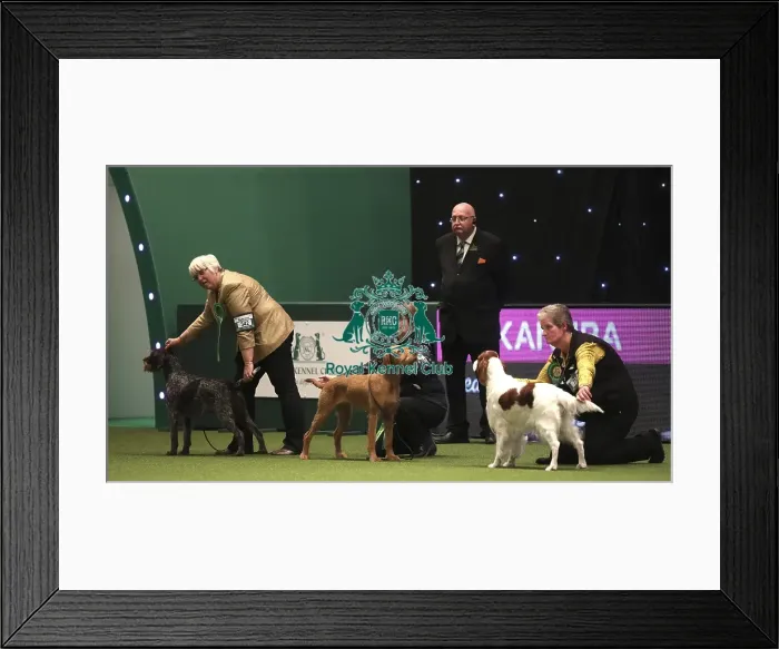 Framed Print : Crufts 2019 - Day One, NEC, UK - 7 Mar 2019 Framed Print : Crufts 2019 - Day One, NEC, UK - 7 Mar 2019