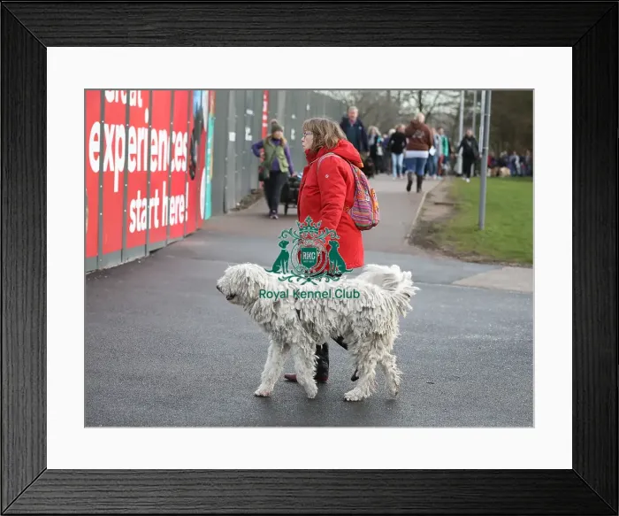 Framed Print : Crufts 2019 - Day Two, NEC, UK - 8 Mar 2019