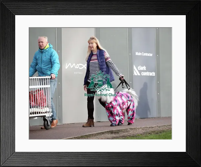 Framed Print : Crufts 2019 - Day Two, NEC, UK - 8 Mar 2019 Framed Print : Crufts 2019 - Day Two, NEC, UK - 8 Mar 2019
