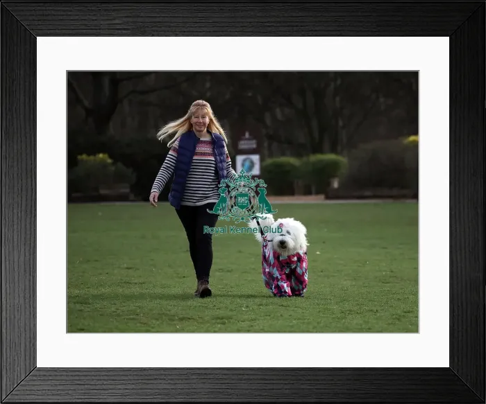 Framed Print : Crufts 2019 - Day Two, NEC, UK - 8 Mar 2019 Framed Print : Crufts 2019 - Day Two, NEC, UK - 8 Mar 2019