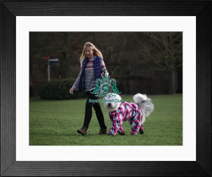 Framed Print : Crufts 2019 - Day Two, NEC, UK - 8 Mar 2019 Framed Print : Crufts 2019 - Day Two, NEC, UK - 8 Mar 2019