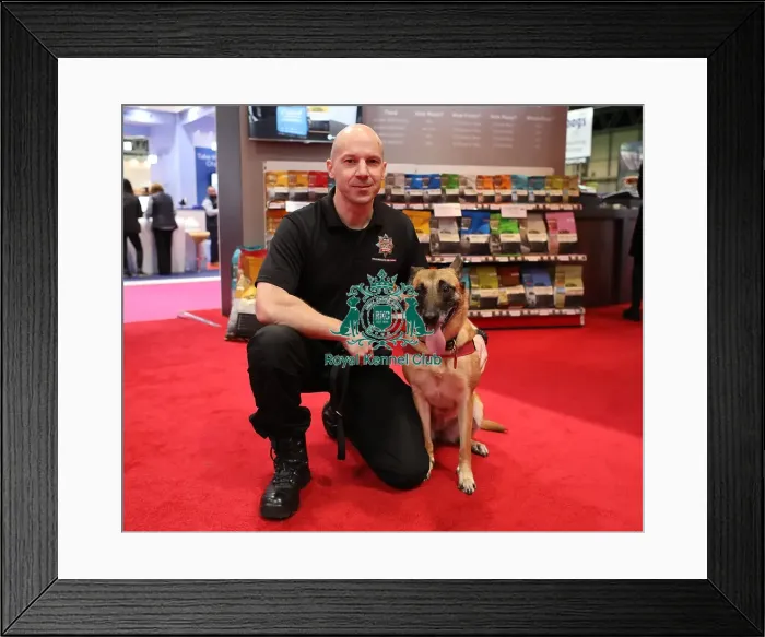 Framed Print : Crufts 2019 - Day Two, NEC, UK - 8 Mar 2019 Framed Print : Crufts 2019 - Day Two, NEC, UK - 8 Mar 2019