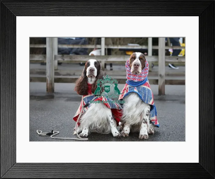 Framed Print : Crufts 2019 - Day One, NEC, UK - 7 Mar 2019 Framed Print : Crufts 2019 - Day One, NEC, UK - 7 Mar 2019