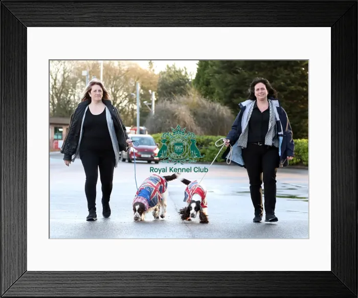 Framed Print : Crufts 2019 - Day One, NEC, UK - 7 Mar 2019 Framed Print : Crufts 2019 - Day One, NEC, UK - 7 Mar 2019