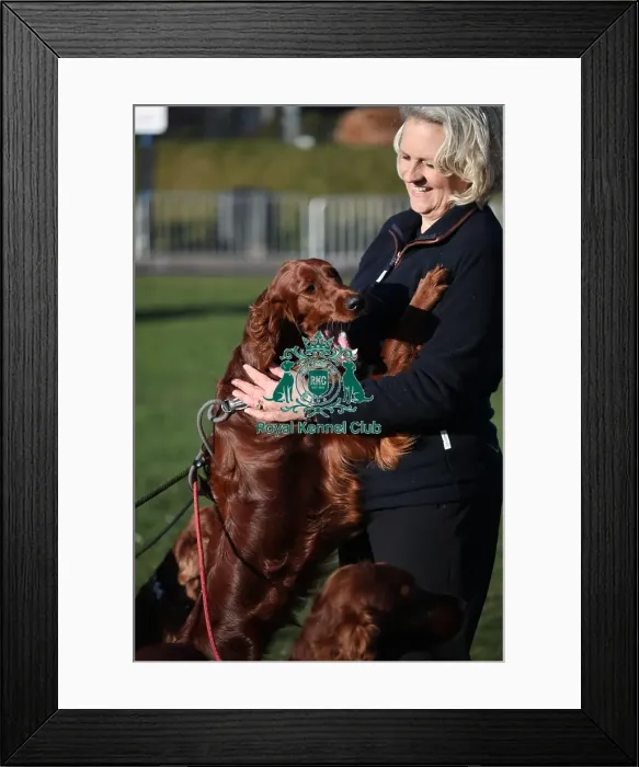 Framed Print : Crufts 2019 - Day One, NEC, UK - 7 Mar 2019