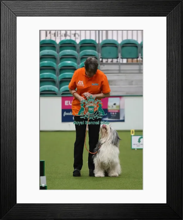 Framed Print : Crufts 2019 - Day One, NEC, UK - 7 Mar 2019