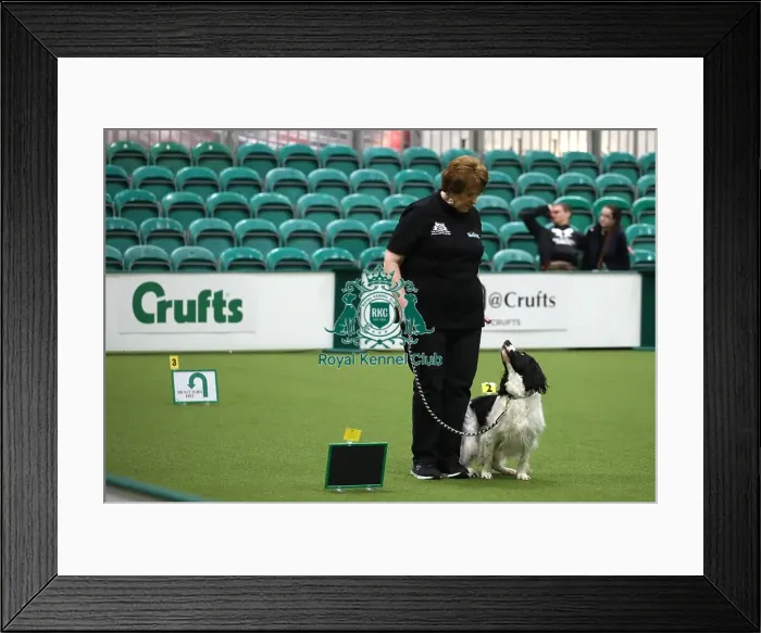 Framed Print : Crufts 2019 - Day One, NEC, UK - 7 Mar 2019 Framed Print : Crufts 2019 - Day One, NEC, UK - 7 Mar 2019