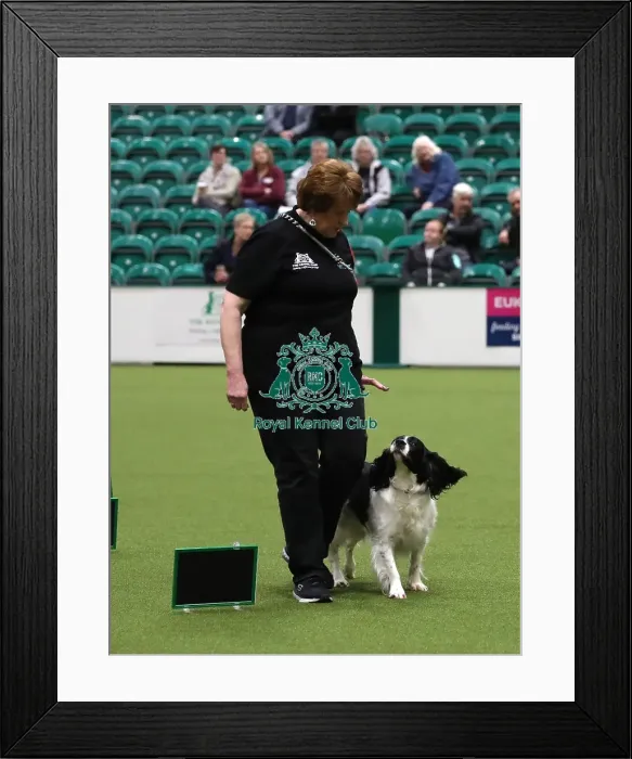 Framed Print : Crufts 2019 - Day One, NEC, UK - 7 Mar 2019 Framed Print : Crufts 2019 - Day One, NEC, UK - 7 Mar 2019
