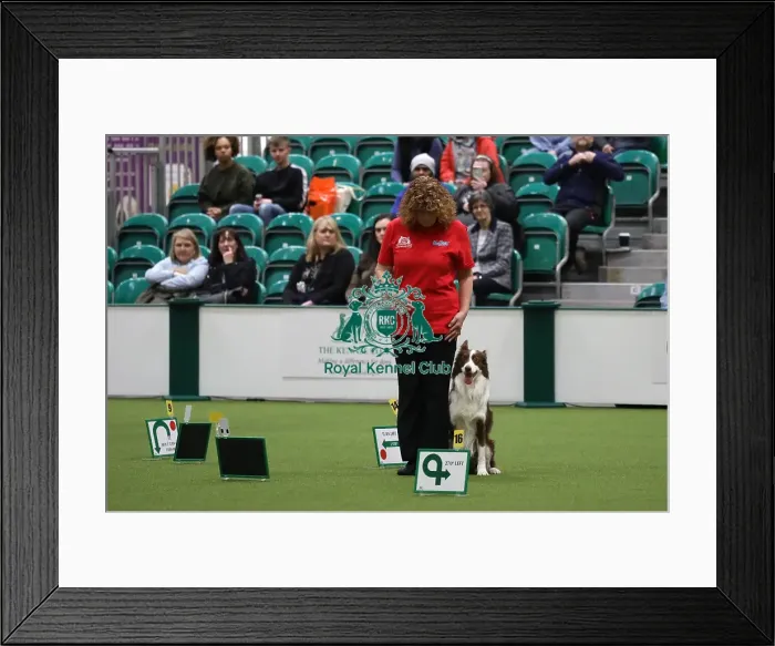 Framed Print : Crufts 2019 - Day One, NEC, UK - 7 Mar 2019 Framed Print : Crufts 2019 - Day One, NEC, UK - 7 Mar 2019