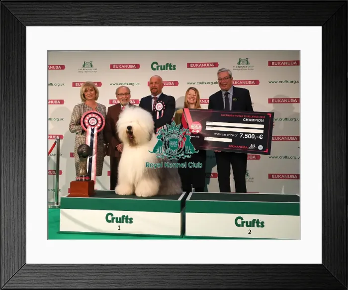 Framed Print : Crufts 2019 - Day One, NEC, UK - 7 Mar 2019 Framed Print : Crufts 2019 - Day One, NEC, UK - 7 Mar 2019