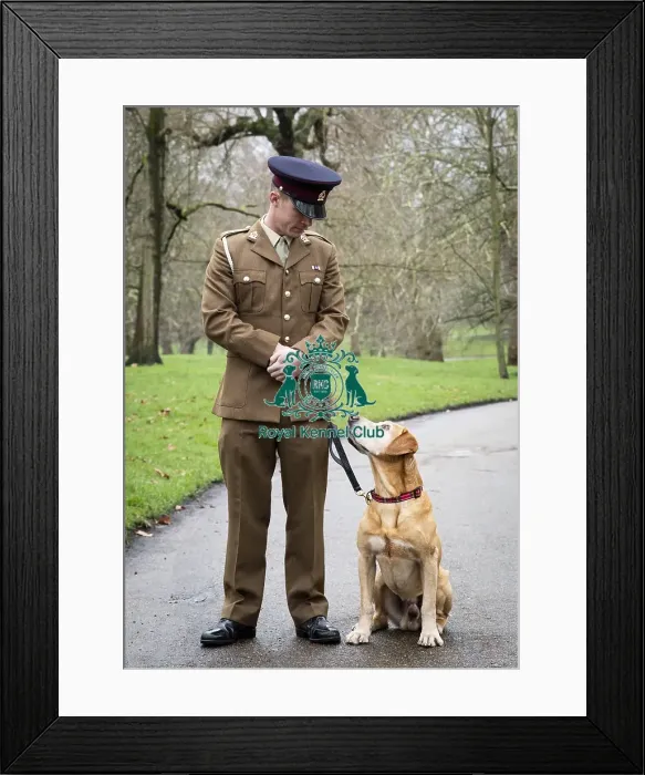 Framed Print : Crufts 2019 - Friends for Life award, London, UK - 5 Feb 2019